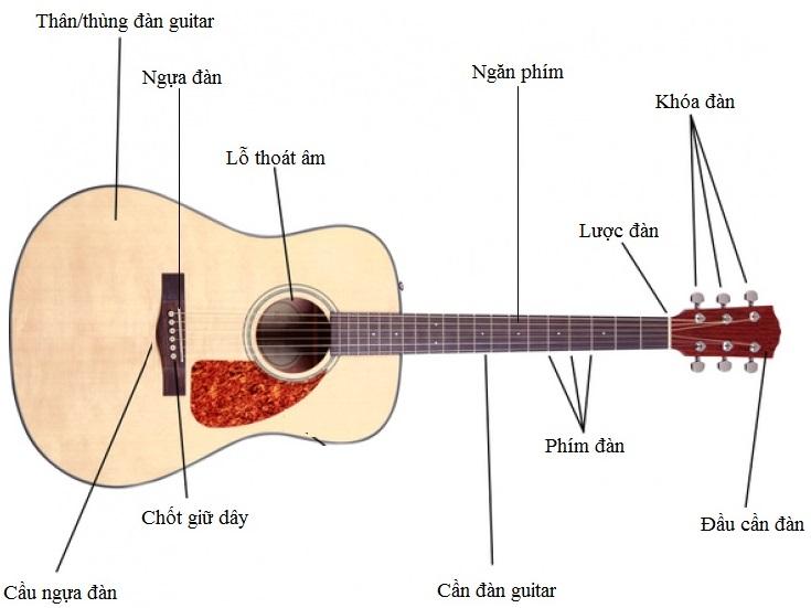 Các bộ phận chính của một cây đàn guitar