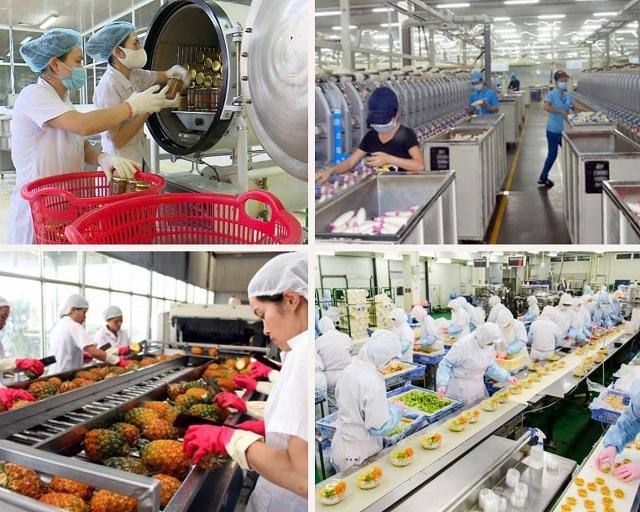 Ngành thực phẩm chế biến của Việt Nam có nhiều tiềm năng phát triển