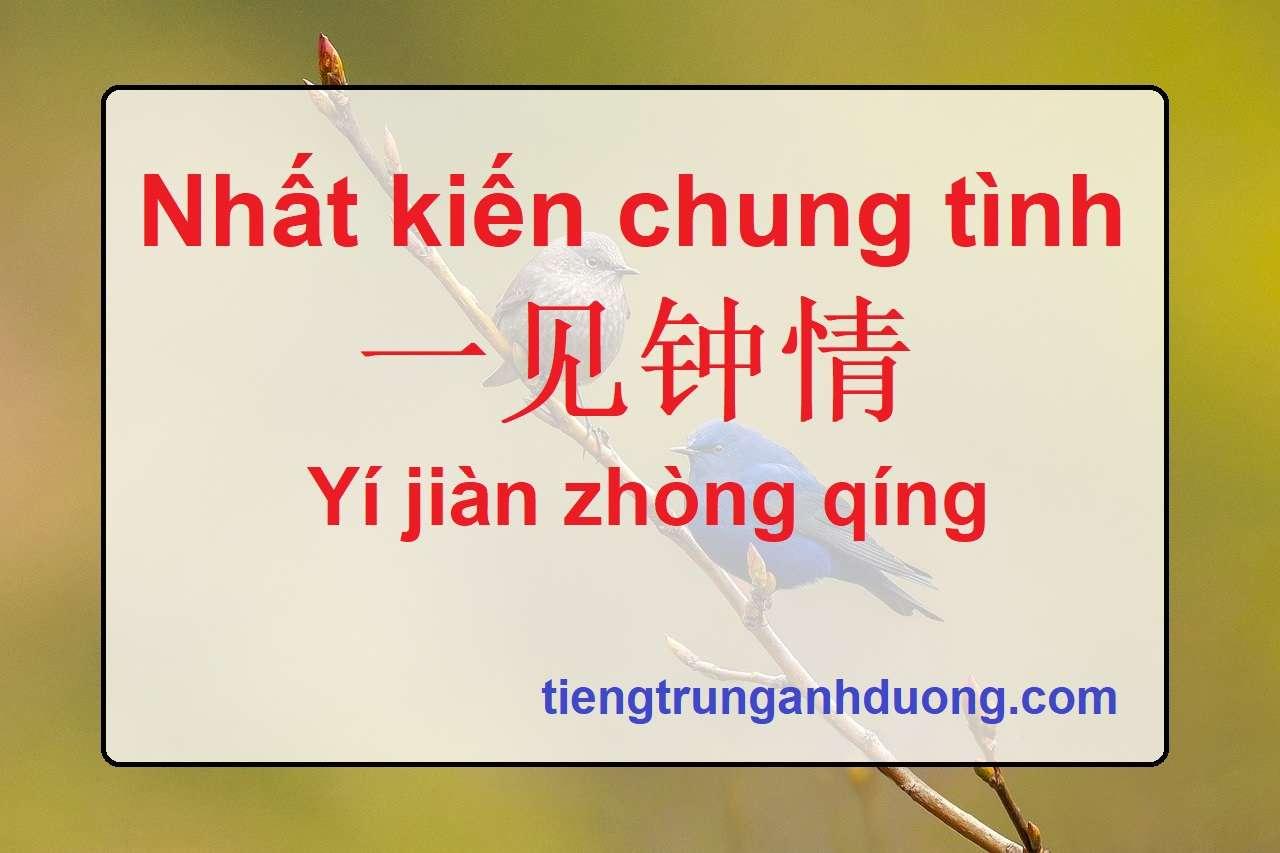 Thành ngữ tiếng Trung: Nhất kiến chung tình 一见钟情 Yí jiàn zhòng qíng